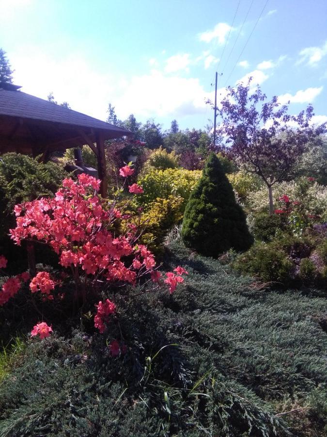 Agroturystyka Pod Barania Gora Kamesznica Exterior foto
